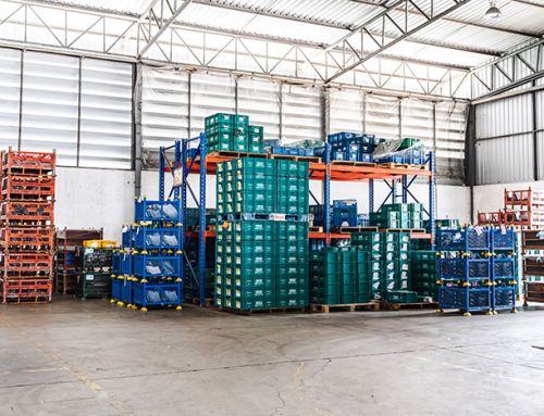 What Value-Added Services Should a Cold Storage Warehouse Offer?